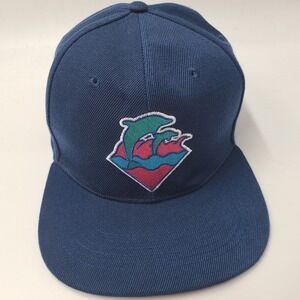 Pink Dolphin Hat Snapback Blue Embroidered Logo Casual Streetwear Acrylic Men